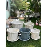 ราคา กระถางต้นไม้พลาสติกสีขาว ทรงโรมันสีขาวขนาด8นิ้ว 10นิ้ว 12นิ้ว15นิ้วพร้อมจานรอง (7545282242)