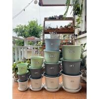 ราคา กระถางต้นไม้ พลาสติก สีพลาสเทล ถ้วยจีน12นิ้ว 10นิ้ว 8นิ้ว พร้อมจานรอง (10613360773)