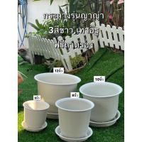 ราคา กระถาง12นิ้ว ต้นไม้ 10นิ้ว กระถางมินิมอล จานรอง minimal สีขาว (7770049102)