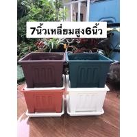 ราคา กระถางต้นไม้พลาสติกแบบเหลี่ยม ขนาด 7 นิ้ว สูง 5 5นิ้วกระถางแคคตัส อุปกรณ์ตกแต่งสวนแพ็คละ2ใบ (7937568306)