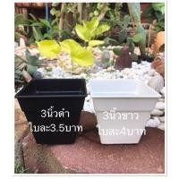 ราคา กระถางต้นไม้แบบเหลียม ขนาด 3 นิ้ว ชุดละ12ใบ (4538478312)