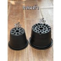 ราคา กระถางต้นไม้พลาสติกสีดำ อุปกรณ์ตกแต่งสวน อุปกรณ์จัดสวน แพ็คละ3ใบ (4537559614)