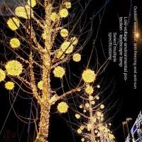 ราคา YOLOGO โคมไฟแขวน ไฟ LED 20 ซม LED สายไฟนางฟ้า ปีหลายสีลูกบอลหวายกลางแจ้ง (53707951882)