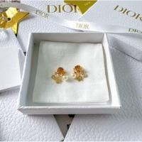 ราคา New Dior Revolution earrings มือ1ของแท้ เช็คสต็อกก่อนกดสั่งนะคะ (43056937361)