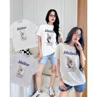 ราคา Maltese t shirt 330 เสื้อยืดลายน้องหมามอลทีสสุดคิ้วท์รุ่นใหม่ งานชนช็อปแบรนด์ดังเกาหลีเลยค่าา งานสกรีนอย่างดี valen (25043077512)