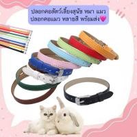 ราคา MG 545 ปลอกคอสัตว์เลี้ยง สุนัข หมา แมว ปลอกคอแมว หลายสี พร้อมส่ง (40202023385)