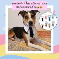 ราคา MG 417 เนคไทปลอกคอสำหรับสัตว์เลี้ยง ใส่ได้ทั้งน้องหมาและน้องแมว ปรับขนาดได้ ใส่สบาย ดีไซน์เรียบหรู ดูดีทุกมุม (23808981994)