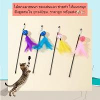ราคา MG 601 ไม้ตกแมวขนนก ของเล่นแมว กระตุ้นสัญชาตญาณนักล่า ยาว 40 ซม ราคาถูก พร้อมส่ง (25237971582)