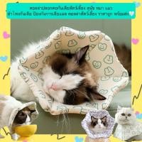 ราคา MG 1301 ปลอกคอกันเลียสำหรับสุนัขและแมว รุ่นลำโพง ป้องกันการเลียแผล ใส่สบาย ราคาย่อมเยา พร้อมส่งทันที (27137596603)