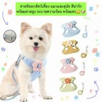 ราคา MG 1107 FLOWER HARNESS สายรัดอกสำหรับแมวและสุนัข พร้อมสายจูงแถมฟรี (25870964846)