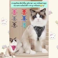 ราคา MG 835 สายจูงรัดอกสัตว์เลี้ยง สุนัข หมา แมว พร้อมสายจูง ระบายความร้อนได้ดี ราคาถูก พร้อมส่ง (24361705511)