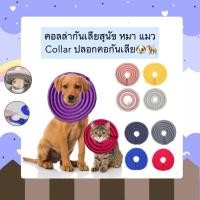 ราคา MG 455 1 คอลล่ากันเลียสุนัข หมา แมว Collar ปลอกคอกันเลีย แบบนิ่ม น่ารัก สำหรับสัตว์เลี้ยง ราคาถูก พร้อมส่ง (15897922790)