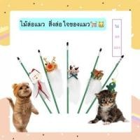ราคา MG 286 ไม้ตกแมว ไม้แมว ยาวสุด ไม้ล่อแมว ของเล่นแมว Christmas cat fun (19621454899)