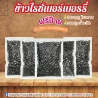 ราคา 1ชิ้น ข้าวไรซ์เบอร์รี่ 100กรัม สายบุญโรงทาน ควบคุมน้ำหนักตาบูรณ์ฟาร์ม (14097922217)