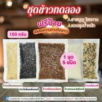ราคา 1ชุด 5 ชิ้น ข้าวหอมมะลิ กล้องหอมมะลิ กล้องแดง ไรซ์เบอร์รี่ สามกษัตริย์ 100กรัม (23976008992)