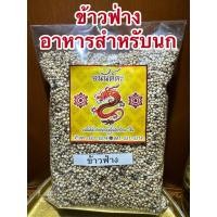 ราคา ข้าวฟ่าง ข้าวฟ่างขาว เมล็ดข้าวฟ่าง อาหารเสริมสำหรับนก สัตว์ปีกทุกชนิด สำหรับสัตว์เลี้ยง (26457640119)