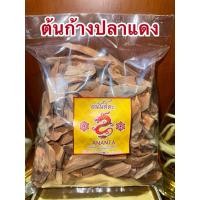 ราคา ต้นก้างปลาแดง ก้างปลาแดง ก้างปลาแดงแห้ง สมุนไพรแห้ง (26553722776)