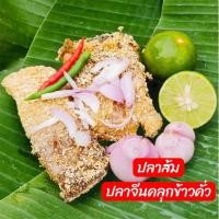 ราคา ปลาส้มนครศรีฯ ปลาส้มปลาจีน คลุกข้าวสารคั่ว 3 แพค 105 บาท 1 ถุง มี 2 ชิ้น น้ำหนัก 200 220 กรัม (28138105698)