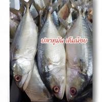 ราคา ปลาทูมัน เค็มน้อย สูตรนครศรีฯ ปลาตัวใหญ่ น้ำหนัก 200 250 กรัม ปลา 1 ตัว 80 บาท สั่งขั้นต่ำ 2 ตัวจ้า (29035058668)
