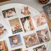 ราคา Handbook Is a Good Cat Series Sticker Pack Cute Kitten Handbook Phone Case สติ๊กเกอร์ตกแต่ง (54158559598)