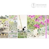 ราคา หนังสือวาดภาพ 311 312 313 314 NATSUME X Disease Introduction หนังสือสีน้ําทํามือสมุดสเก็ตช์ Baohong (47108151841)