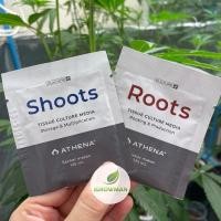 ราคา Athena Culture Line Shoots and Roots 125ml อาหารเพาะเนื้อเยื่อ Athena ของแท้ 100 แบบซอง (25527931213)