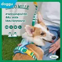 ราคา พร้อมส่ง DOGGU เซ็ตสายรัดอกพร้อมสายจูง Parco Mille Harness Set น้องหมา แมวใส่ได้ ใส่ง่าย สายจูง 180ซม (29200853644)