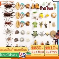 ราคา model โมเดลวงจรชีวิตสัตว์ สัตว์น้ำ (16575691766)