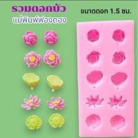 ราคา แม่พิมพ์ฟองดอง ทำขนมวุ้น อลัว ขนมไทยต่างๆ แผ่นรวมดอกบัว (29813494190)