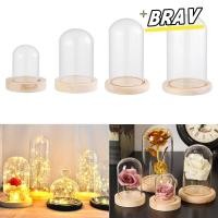ราคา BRAV แก้ว Clche Fairy ไฟ Terrarium โต๊ะ Terrarium ขวดโปร่งใส Jar ฐานไม้ (45209183574)