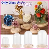 ราคา SHAR แก้ว Clche Fairy ไฟ Terrarium โต๊ะ Terrarium ขวดโปร่งใส Jar ดอกไม้กล่องเก็บ (46857778034)