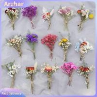 ราคา Vibrant มินิดอกไม้แห้งช่อดอกไม้การ์ดจริงดอกไม้ตกแต่งใช้งานง่ายเป็นมิตรกับสิ่งแวดล้อมช่อดอกไม้ที่เก็บรักษาไว้สําหรับตกแต่งเป็นมิตรกับสิ่งแวดล้อมสร้างสรรค์หัตถกรรมบ้าน (55708736468)