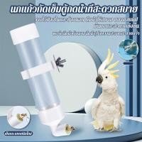 ราคา แบบติดกรง น้ำนกแก้ว ขนาด300Ml ขวดน้ำนก ป้องกันน้ำหก ขวดใส่น้ำ หัวทองเหลือง หลอดให้น้ำ ขวดให้น้ำอัตโนมัติ (57300984732)