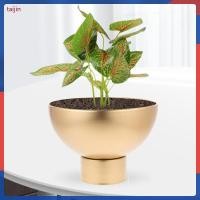 ราคา ชาวไร่โลหะสีทองขนาดใหญ่เปิดกระถางดอกไม้สําหรับใช้ในการตกแต่ง ไทจิน (54908327603)