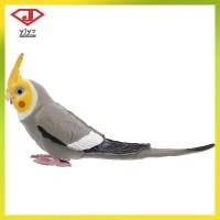 ราคา สมจริง Cockatiel นกประดิษฐ์นกแก้วรุ่น Figurine yuanjingyouzhang (57808221709)