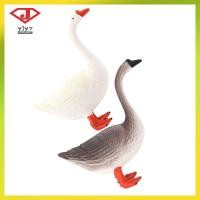 ราคา 2ชิ้นห่านรูปแกะสลัก รูปปั้นห่านพลาสติกสัตว์ตัวเลขอุปกรณ์เสริมสัตว์ฟาร์มตกแต่งโต๊ะสําหรับสวนลานสนามหญ้าเครื่องประดับ กลางแจ้งในร่ม หยวนจิงโหยวจาง (53155874917)