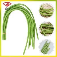 ราคา 6 ชิ้น Bean Stalk อาหาร Props สําหรับจอแสดงผลผักตกแต่งอาหารประดิษฐ์ผักปลอม yuanjingyouzhang (47158430813)