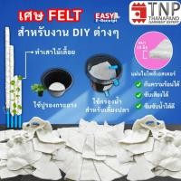 ราคา พร้อมส่ง เศษเฟลท์ Felt ราคาถูก สำหรับทำเสาไม้เลื้อย ปูรองกระถาง คละไซส์ ขนาด รหัสสินค้า 004 ฐานะภัณฑ์ (29358065532)