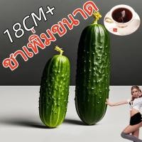 ราคา เจ้าแห่งราตรี Ginseng Tea ชาโสมห้าสมบัติ T5 เติมพลัง ผลิตด้วยกรรมวิธีจีนโบราณ (57759149205)