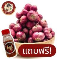 ราคา หอมแต๋ หอมแดงมัดจุกหัวเน้นๆใบน้อย หอมแดงสดใหม่ หอมแดงหัวใหญ่เก็บได้นาน แถมฟรี พริกป่นทุกออเดอร์ วันนี้ 30เมษา (44360998259)