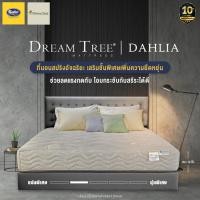 ราคา Satin ที่นอนซาติน Dream Tree รุ่น DAHLIA หนา 9 นิ้ว สีน้ำตาลอ่อน แถมฟรี หมอนหนุน (2329701981)