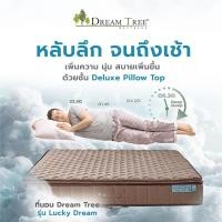 ราคา Dream Tree ที่นอนรุ่น Lucky Dream หนา 11 นิ้ว ที่นอนยางพาราแท้ เสริมชั้นโฟมพิเศษ เพิ่มอายุการใช้งานได้นานขึ้น ส่งฟรี (12028370617)