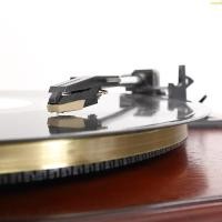 ราคา ส่วนลดสูง oyalking th สําหรับ LP Turntable Phonograph Record Player Gramophone Accessories Golden Needle (55357411023)