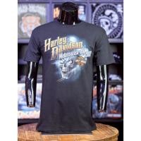 ราคา เสื้อยืด ดีไซน์พิเศษ ลายช้างเชียงใหม่ OLP Official License Product รุ่น Haunted Black EL (49005338898)