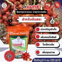 ราคา แมกนีเซียม สังกะสี ธาตุรอง ธาตุเสริม สำหรับต้นสละ เพิ่มครอโรฟิลล์ เร่งโต ใบเขียว เพิ่มคุณภาพผลผลิต ด้วยแมกซ่า (24003852908)