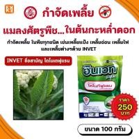 ราคา กำจัดเพลี้ยแมลงศัตรูพืช ในต้นกะหล่ำดอก INVET ไดโนเตฟูแรน ใช้ได้กับพืชทุกชนิด ขนาด 100 กรัม (28528871292)