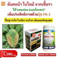 ราคา ต้นผักคะน้า ใบไหม้ ใบจุด ผลเน่า รากเน่าเป็นโรคจากเชื้อรา ใช้แพนน่อน หยุดโรค FK 1 ฟื้นฟู โตไวผลผลิตดี (27135796084)