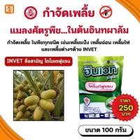 ราคา กำจัดเพลี้ยแมลงศัตรูพืช ในต้นอินทผาลัม INVET ไดโนเตฟูแรน ใช้ได้กับพืชทุกชนิด ขนาด 100 กรัม (26628858038)