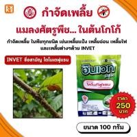 ราคา กำจัดเพลี้ยแมลงศัตรูพืช ในต้นโกโก้ INVET ไดโนเตฟูแรน ใช้ได้กับพืชทุกชนิด ขนาด 100 กรัม (26528829477)