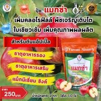 ราคา แมกนีเซียม สังกะสี ธาตุรอง ธาตุเสริม สำหรับต้นแอ๊ปเปิ้ล เพิ่มครอโรฟิลล์ เร่งโต ใบเขียว เพิ่มคุณภาพผลผลิต ด้วยแมกซ่า (25953964708)